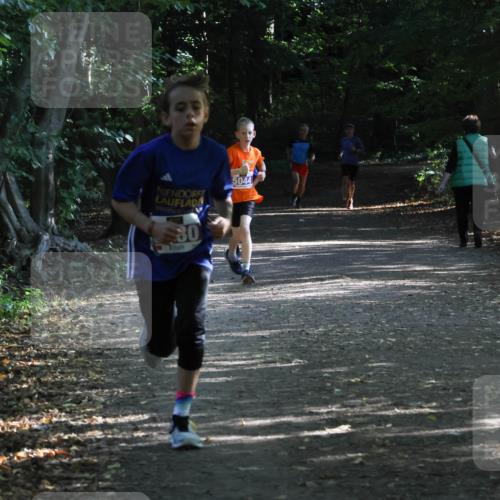 28.09.2025 - 33. Volkslauf durch das schöne Alstertal Strokosch-Dieckow http://msf.ph/oto/8967814 28.09.2025 10:44:20 Laufen 30, 5044 meine-sportfotos.de