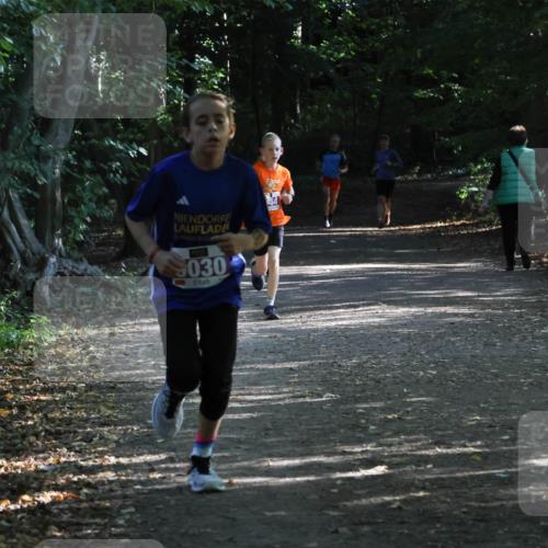 28.09.2025 - 33. Volkslauf durch das schöne Alstertal Strokosch-Dieckow http://msf.ph/oto/8967815 28.09.2025 10:44:20 Laufen 5030 meine-sportfotos.de