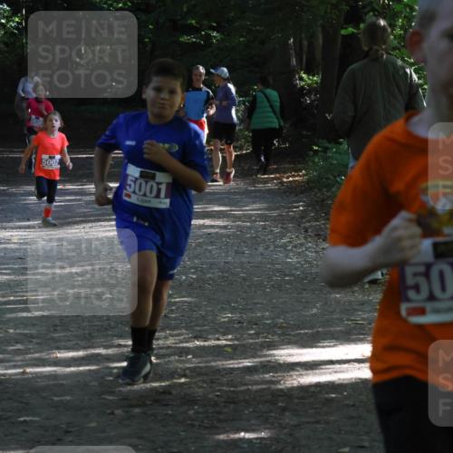 28.09.2025 - 33. Volkslauf durch das schöne Alstertal Strokosch-Dieckow http://msf.ph/oto/8967825 28.09.2025 10:44:26 Laufen 5030, 5002, 5001, 5044 meine-sportfotos.de