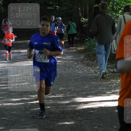 28.09.2025 - 33. Volkslauf durch das schöne Alstertal Strokosch-Dieckow http://msf.ph/oto/8967827 28.09.2025 10:44:26 Laufen 500, 5001, 5044 meine-sportfotos.de
