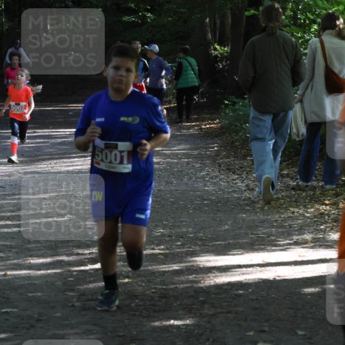 28.09.2025 - 33. Volkslauf durch das schöne Alstertal Strokosch-Dieckow http://msf.ph/oto/8967829 28.09.2025 10:44:26 Laufen 5002, 5001, 50 meine-sportfotos.de