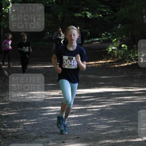 28.09.2025 - 33. Volkslauf durch das schöne Alstertal Strokosch-Dieckow http://msf.ph/oto/8967840 28.09.2025 10:44:52 Laufen 5048 meine-sportfotos.de