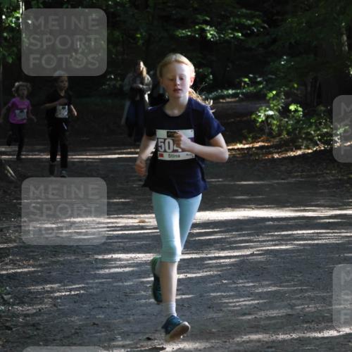 28.09.2025 - 33. Volkslauf durch das schöne Alstertal Strokosch-Dieckow http://msf.ph/oto/8967843 28.09.2025 10:44:52 Laufen 50 meine-sportfotos.de