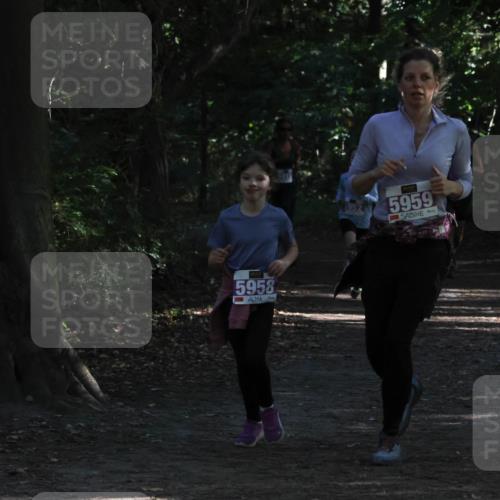 28.09.2025 - 33. Volkslauf durch das schöne Alstertal Strokosch-Dieckow http://msf.ph/oto/8967844 28.09.2025 10:45:12 Laufen 5958, 5959 meine-sportfotos.de