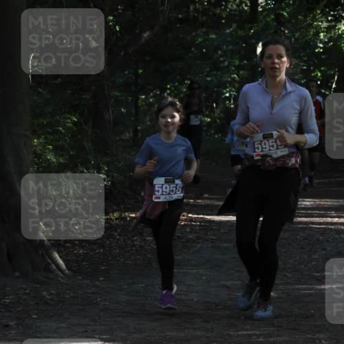 28.09.2025 - 33. Volkslauf durch das schöne Alstertal Strokosch-Dieckow http://msf.ph/oto/8967845 28.09.2025 10:45:12 Laufen 5958, 5952, 5959 meine-sportfotos.de