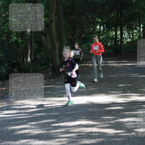 28.09.2025 - 33. Volkslauf durch das schöne Alstertal Strokosch-Dieckow http://msf.ph/oto/8967851 28.09.2025 10:45:29 Laufen 5964 meine-sportfotos.de