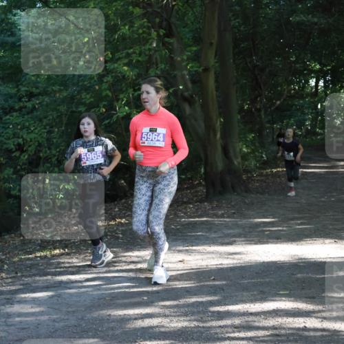 28.09.2025 - 33. Volkslauf durch das schöne Alstertal Strokosch-Dieckow http://msf.ph/oto/8967859 28.09.2025 10:45:31 Laufen 5965, 5964 meine-sportfotos.de