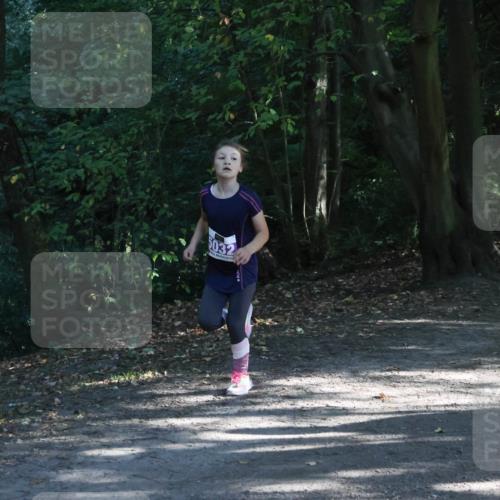 28.09.2025 - 33. Volkslauf durch das schöne Alstertal Strokosch-Dieckow http://msf.ph/oto/8967860 28.09.2025 10:45:34 Laufen 5032 meine-sportfotos.de