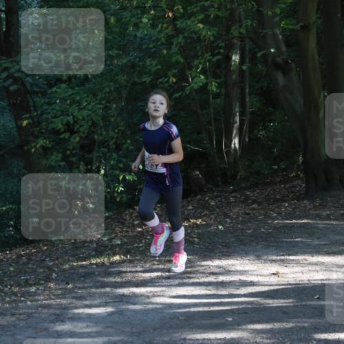 28.09.2025 - 33. Volkslauf durch das schöne Alstertal Strokosch-Dieckow http://msf.ph/oto/8967861 28.09.2025 10:45:34 Laufen  meine-sportfotos.de