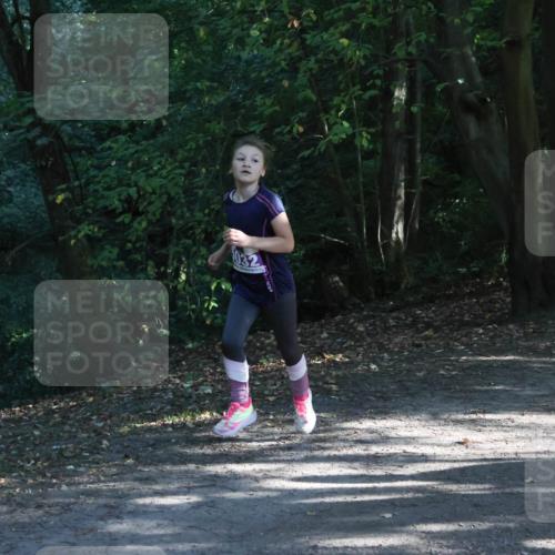 28.09.2025 - 33. Volkslauf durch das schöne Alstertal Strokosch-Dieckow http://msf.ph/oto/8967863 28.09.2025 10:45:34 Laufen  meine-sportfotos.de