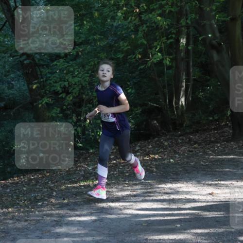 28.09.2025 - 33. Volkslauf durch das schöne Alstertal Strokosch-Dieckow http://msf.ph/oto/8967864 28.09.2025 10:45:34 Laufen  meine-sportfotos.de
