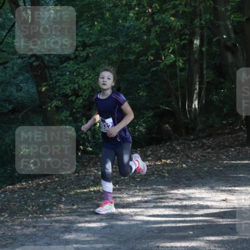 28.09.2025 - 33. Volkslauf durch das schöne Alstertal Strokosch-Dieckow http://msf.ph/oto/8967865 28.09.2025 10:45:34 Laufen  meine-sportfotos.de