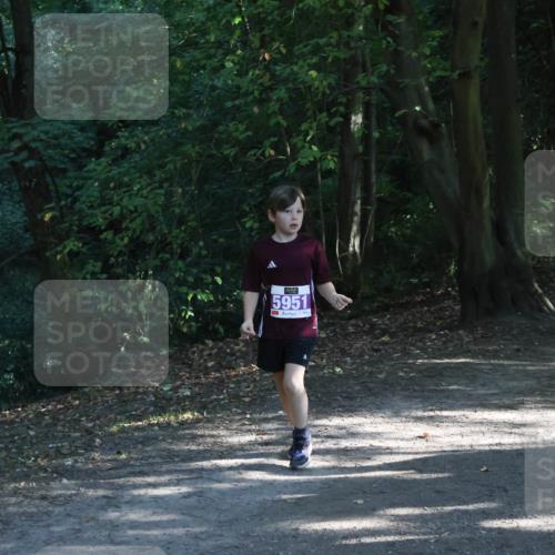28.09.2025 - 33. Volkslauf durch das schöne Alstertal Strokosch-Dieckow http://msf.ph/oto/8967869 28.09.2025 10:45:42 Laufen 5951 meine-sportfotos.de