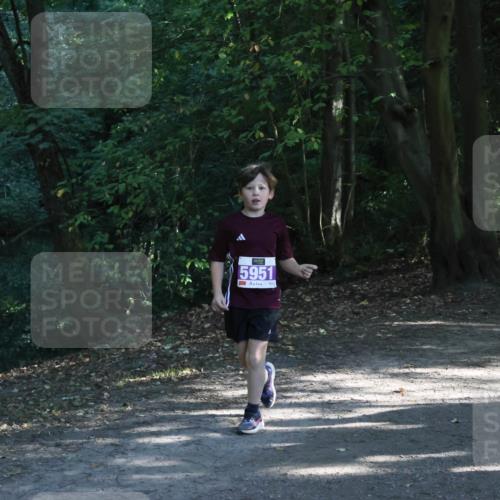 28.09.2025 - 33. Volkslauf durch das schöne Alstertal Strokosch-Dieckow http://msf.ph/oto/8967872 28.09.2025 10:45:42 Laufen 5951 meine-sportfotos.de