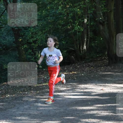 28.09.2025 - 33. Volkslauf durch das schöne Alstertal Strokosch-Dieckow http://msf.ph/oto/8967875 28.09.2025 10:45:47 Laufen 5960 meine-sportfotos.de