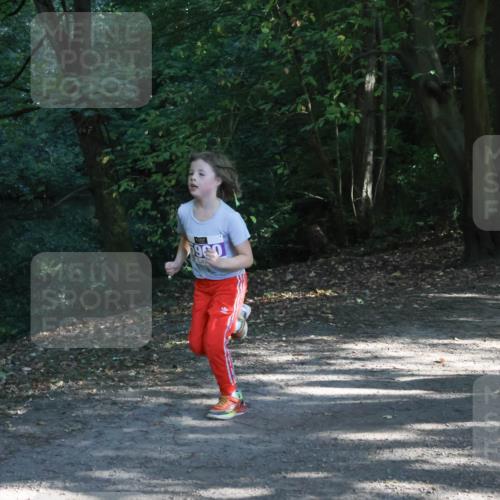 28.09.2025 - 33. Volkslauf durch das schöne Alstertal Strokosch-Dieckow http://msf.ph/oto/8967876 28.09.2025 10:45:47 Laufen 960 meine-sportfotos.de