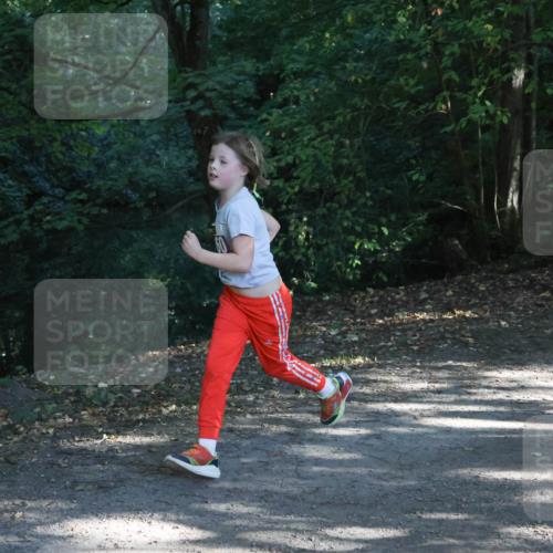 28.09.2025 - 33. Volkslauf durch das schöne Alstertal Strokosch-Dieckow http://msf.ph/oto/8967880 28.09.2025 10:45:47 Laufen  meine-sportfotos.de