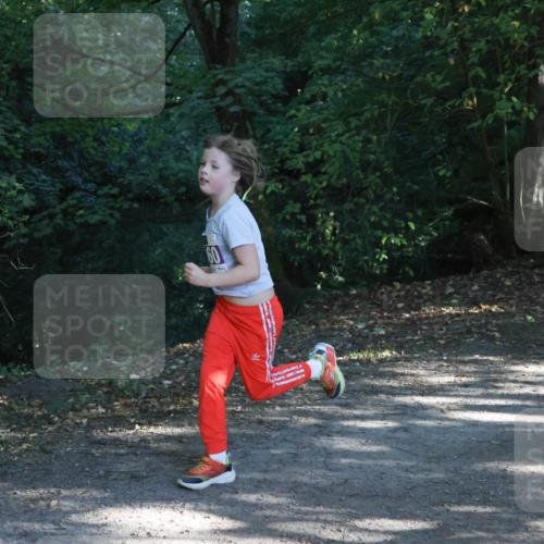 28.09.2025 - 33. Volkslauf durch das schöne Alstertal Strokosch-Dieckow http://msf.ph/oto/8967881 28.09.2025 10:45:47 Laufen  meine-sportfotos.de