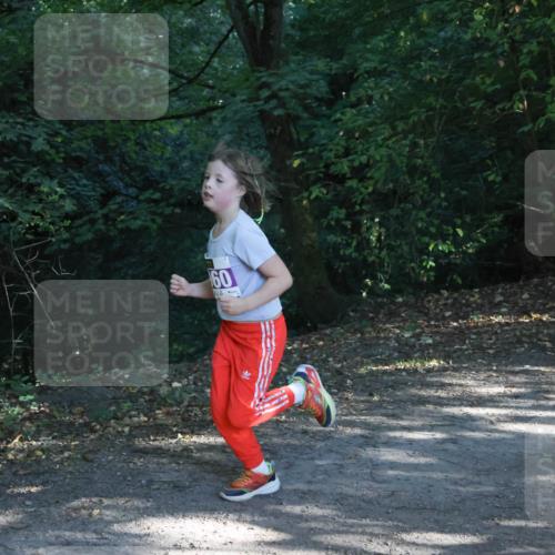 28.09.2025 - 33. Volkslauf durch das schöne Alstertal Strokosch-Dieckow http://msf.ph/oto/8967883 28.09.2025 10:45:47 Laufen 60 meine-sportfotos.de