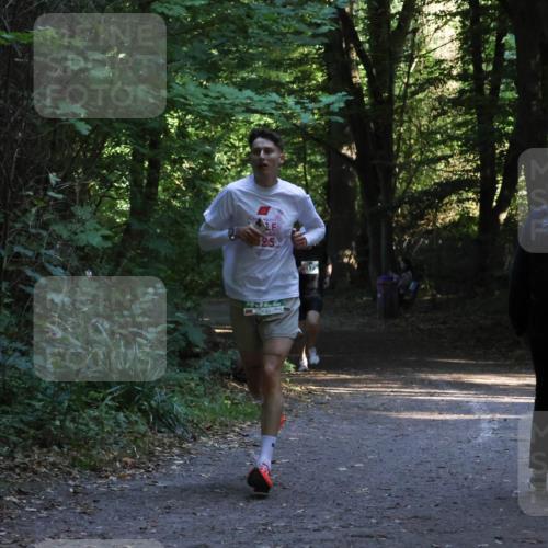 28.09.2025 - 33. Volkslauf durch das schöne Alstertal Strokosch-Dieckow http://msf.ph/oto/8967911 28.09.2025 10:48:27 Laufen 25 meine-sportfotos.de