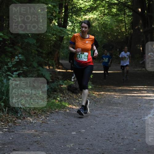 28.09.2025 - 33. Volkslauf durch das schöne Alstertal Strokosch-Dieckow http://msf.ph/oto/8968053 28.09.2025 10:51:54 Laufen 4184 meine-sportfotos.de