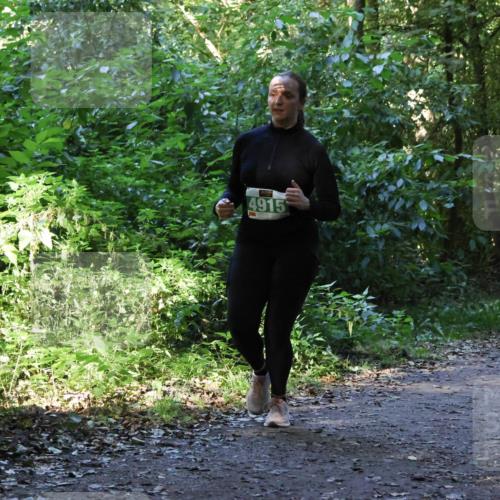 28.09.2025 - 33. Volkslauf durch das schöne Alstertal Strokosch-Dieckow http://msf.ph/oto/8968486 28.09.2025 11:02:31 Laufen 4915 meine-sportfotos.de