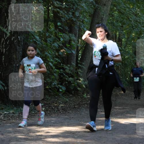 28.09.2025 - 33. Volkslauf durch das schöne Alstertal Strokosch-Dieckow http://msf.ph/oto/8968554 28.09.2025 11:05:52 Laufen 4027, 40, 4145 meine-sportfotos.de