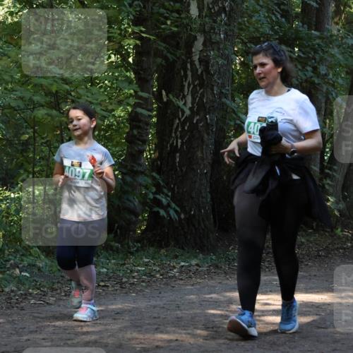 28.09.2025 - 33. Volkslauf durch das schöne Alstertal Strokosch-Dieckow http://msf.ph/oto/8968560 28.09.2025 11:05:53 Laufen 4097, 40, 4145 meine-sportfotos.de