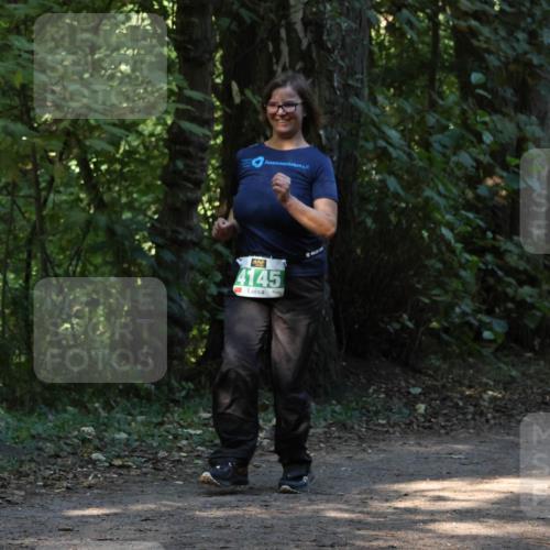 28.09.2025 - 33. Volkslauf durch das schöne Alstertal Strokosch-Dieckow http://msf.ph/oto/8968564 28.09.2025 11:06:01 Laufen 4145 meine-sportfotos.de