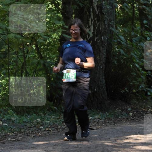 28.09.2025 - 33. Volkslauf durch das schöne Alstertal Strokosch-Dieckow http://msf.ph/oto/8968567 28.09.2025 11:06:01 Laufen 4145 meine-sportfotos.de