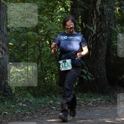 28.09.2025 - 33. Volkslauf durch das schöne Alstertal Strokosch-Dieckow http://msf.ph/oto/8968570 28.09.2025 11:06:01 Laufen 4145 meine-sportfotos.de