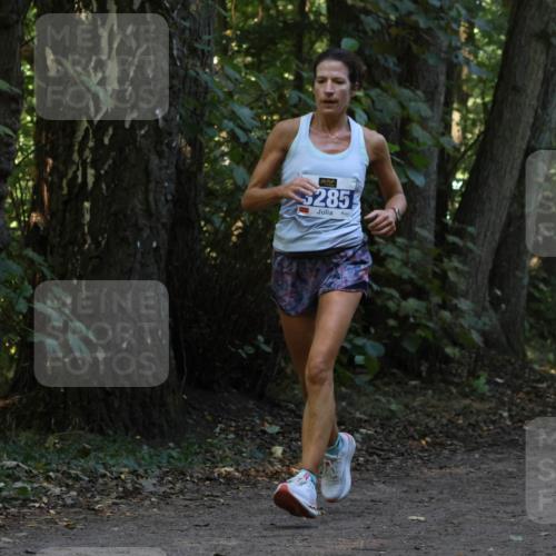 28.09.2025 - 33. Volkslauf durch das schöne Alstertal Strokosch-Dieckow http://msf.ph/oto/8969168 28.09.2025 11:22:26 Laufen 5285, 3314 meine-sportfotos.de