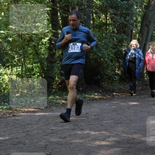 28.09.2025 - 33. Volkslauf durch das schöne Alstertal Strokosch-Dieckow http://msf.ph/oto/8969590 28.09.2025 11:31:30 Laufen 3103 meine-sportfotos.de