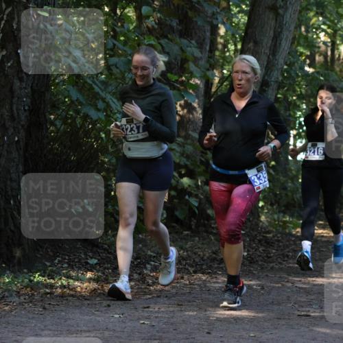28.09.2025 - 33. Volkslauf durch das schöne Alstertal Strokosch-Dieckow http://msf.ph/oto/8969651 28.09.2025 11:32:51 Laufen 3237, 335, 3216, 5, 0, 1 meine-sportfotos.de