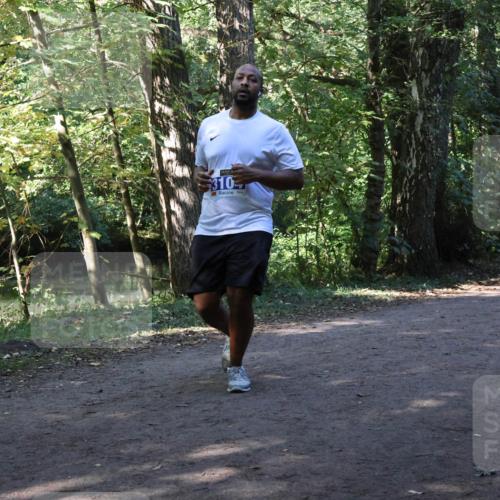 28.09.2025 - 33. Volkslauf durch das schöne Alstertal Strokosch-Dieckow http://msf.ph/oto/8970056 28.09.2025 11:41:19 Laufen 310, 3323 meine-sportfotos.de