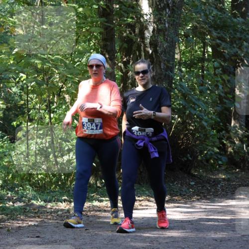 28.09.2025 - 33. Volkslauf durch das schöne Alstertal Strokosch-Dieckow http://msf.ph/oto/8970956 28.09.2025 12:03:59 Laufen 3947 meine-sportfotos.de