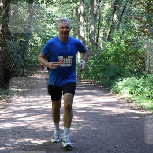 28.09.2025 - 33. Volkslauf durch das schöne Alstertal Strokosch-Dieckow http://msf.ph/oto/8974069 28.09.2025 12:35:15 Laufen 2386 meine-sportfotos.de