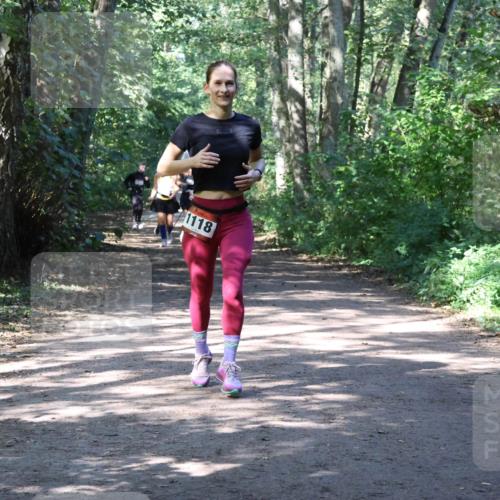 28.09.2025 - 33. Volkslauf durch das schöne Alstertal Strokosch-Dieckow http://msf.ph/oto/8974080 28.09.2025 12:35:30 Laufen 1118 meine-sportfotos.de