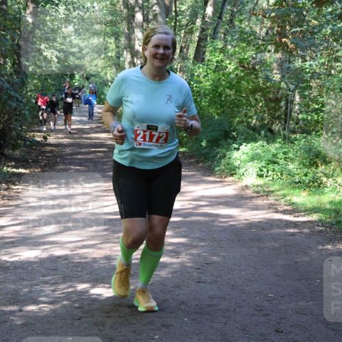 28.09.2025 - 33. Volkslauf durch das schöne Alstertal Strokosch-Dieckow http://msf.ph/oto/8974127 28.09.2025 12:36:05 Laufen 2172 meine-sportfotos.de