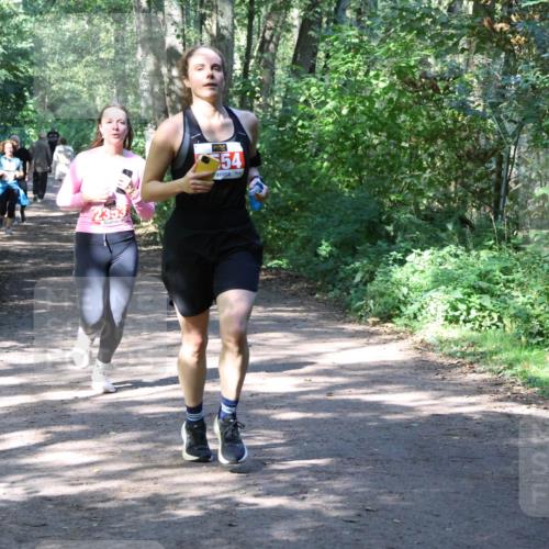 28.09.2025 - 33. Volkslauf durch das schöne Alstertal Strokosch-Dieckow http://msf.ph/oto/8974171 28.09.2025 12:36:46 Laufen 2353, 554 meine-sportfotos.de
