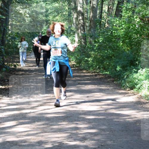 28.09.2025 - 33. Volkslauf durch das schöne Alstertal Strokosch-Dieckow http://msf.ph/oto/8974180 28.09.2025 12:36:55 Laufen 2028 meine-sportfotos.de