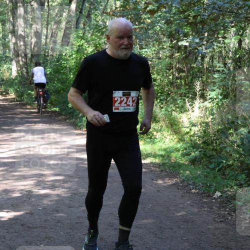 28.09.2025 - 33. Volkslauf durch das schöne Alstertal Strokosch-Dieckow http://msf.ph/oto/8974189 28.09.2025 12:37:02 Laufen 2242 meine-sportfotos.de