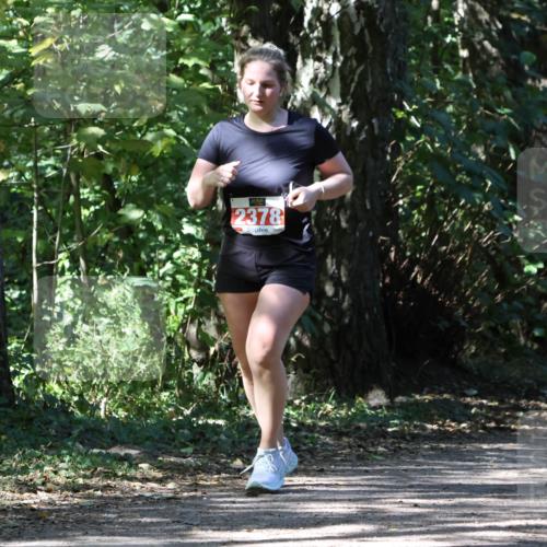28.09.2025 - 33. Volkslauf durch das schöne Alstertal Strokosch-Dieckow http://msf.ph/oto/8974732 28.09.2025 12:58:49 Laufen 2378 meine-sportfotos.de