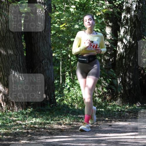 28.09.2025 - 33. Volkslauf durch das schöne Alstertal Strokosch-Dieckow http://msf.ph/oto/8974734 28.09.2025 12:58:57 Laufen 327 meine-sportfotos.de