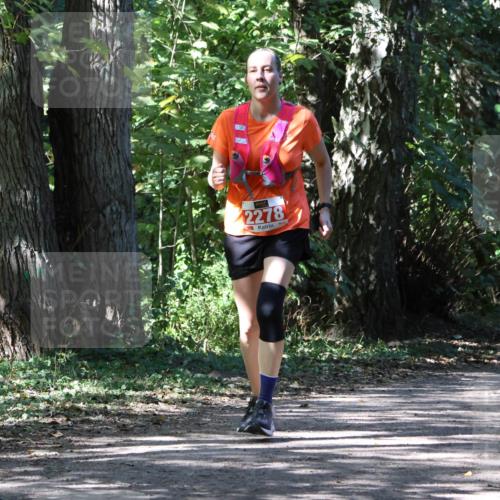 28.09.2025 - 33. Volkslauf durch das schöne Alstertal Strokosch-Dieckow http://msf.ph/oto/8974749 28.09.2025 12:59:36 Laufen 2278 meine-sportfotos.de
