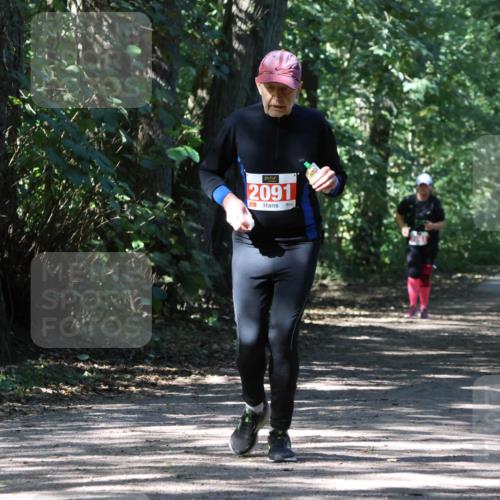 28.09.2025 - 33. Volkslauf durch das schöne Alstertal Strokosch-Dieckow http://msf.ph/oto/8974752 28.09.2025 13:00:03 Laufen 2091 meine-sportfotos.de