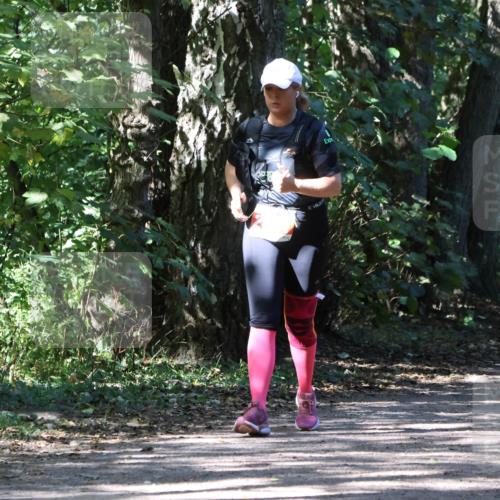 28.09.2025 - 33. Volkslauf durch das schöne Alstertal Strokosch-Dieckow http://msf.ph/oto/8974756 28.09.2025 13:00:14 Laufen  meine-sportfotos.de