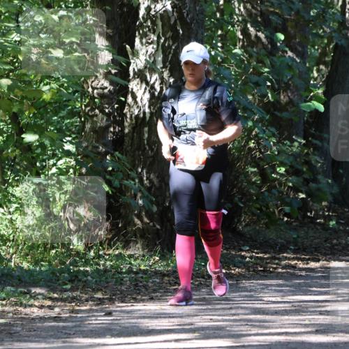 28.09.2025 - 33. Volkslauf durch das schöne Alstertal Strokosch-Dieckow http://msf.ph/oto/8974757 28.09.2025 13:00:14 Laufen  meine-sportfotos.de