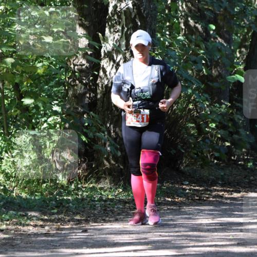 28.09.2025 - 33. Volkslauf durch das schöne Alstertal Strokosch-Dieckow http://msf.ph/oto/8974759 28.09.2025 13:00:14 Laufen 2641 meine-sportfotos.de
