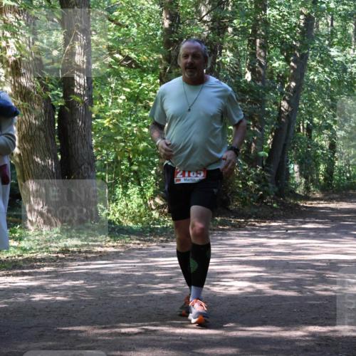 28.09.2025 - 33. Volkslauf durch das schöne Alstertal Strokosch-Dieckow http://msf.ph/oto/8974771 28.09.2025 13:01:00 Laufen 2105 meine-sportfotos.de
